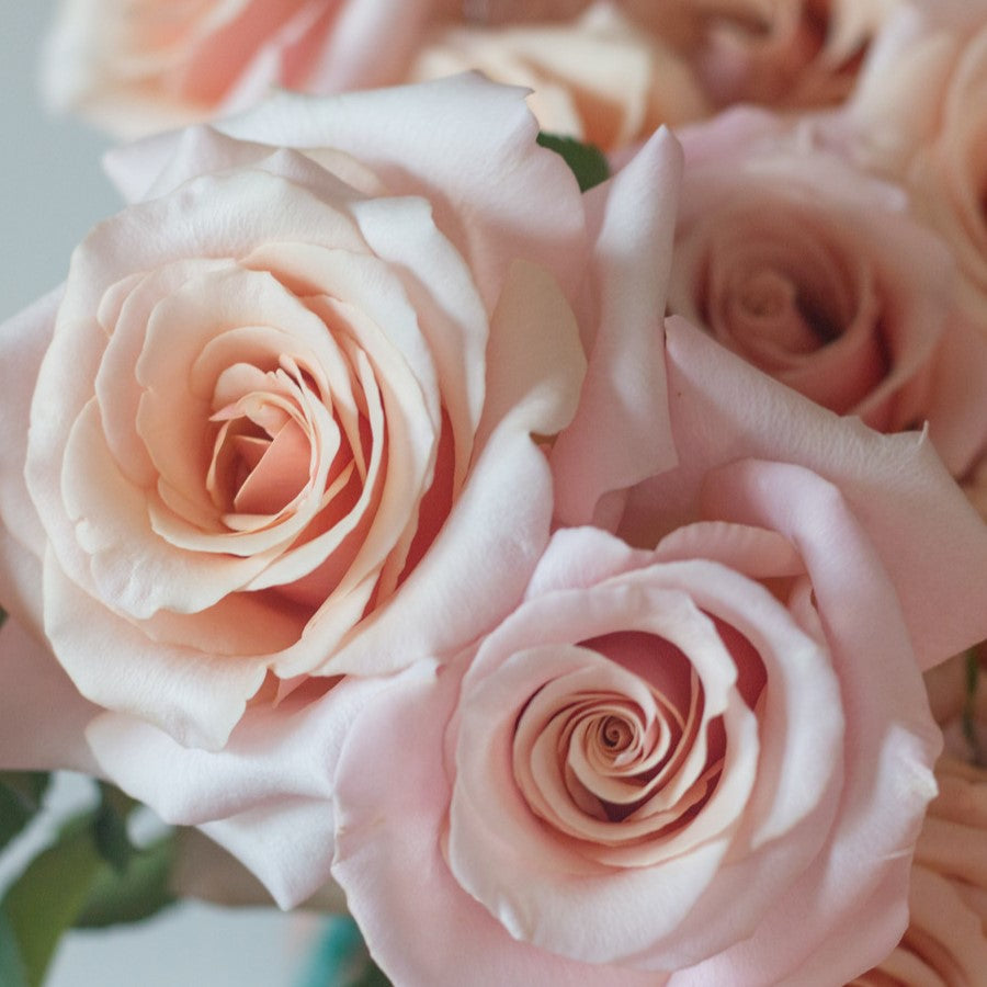 Peachy Pink Mother of Pearl Rose Flower