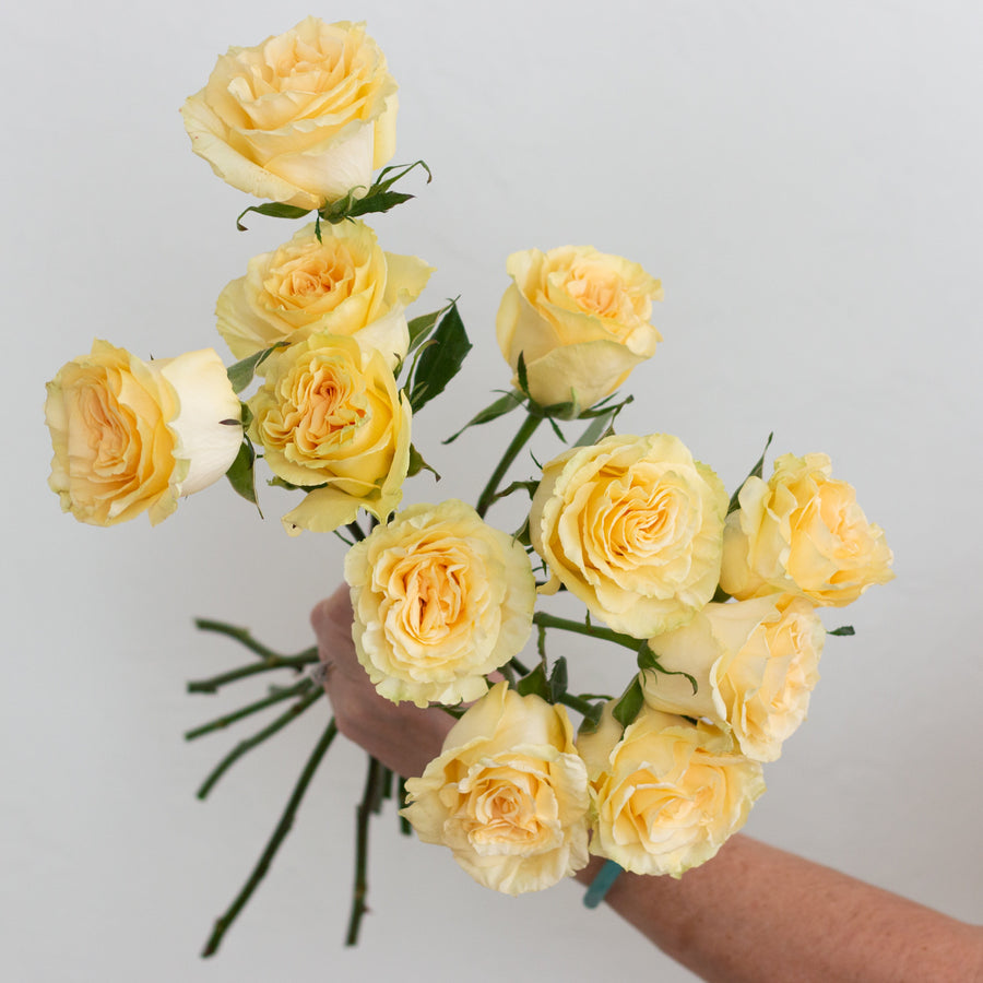 Yellow Garden Roses DIY Wedding Flowers Flower Moxie