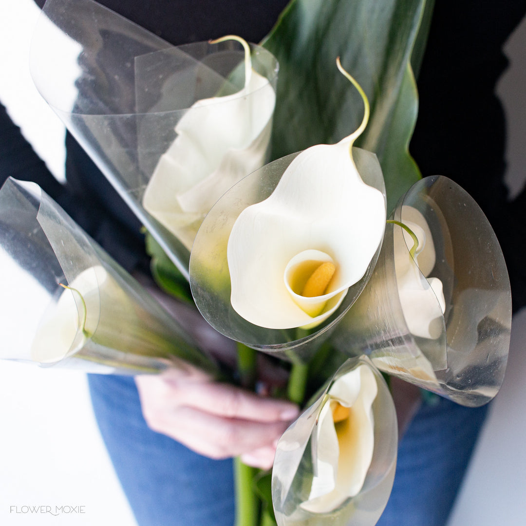 calla lily flower prices White Standard Calla Lily | Fresh DIY Wedding Flowers | Flower Moxie 60 Stems