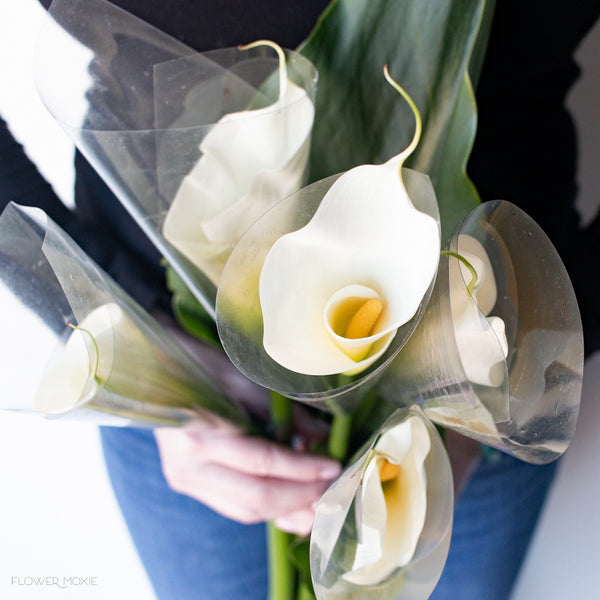 calla lily flower crown White Standard Calla Lily | Fresh DIY Wedding Flowers | Flower Moxie 60 Stems