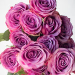 Purple Cool Water Rose Flower