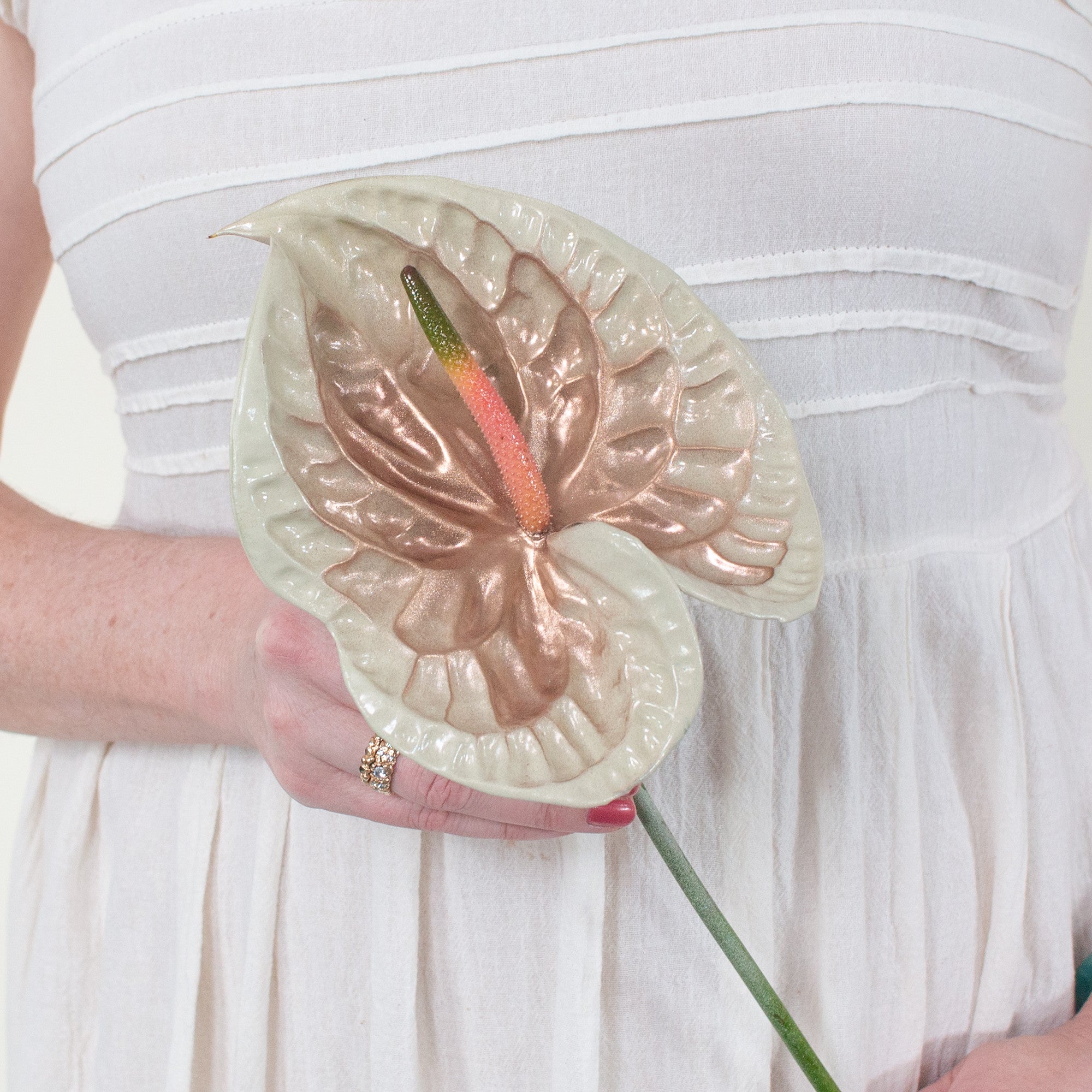 Iridescent Anthurium - Chiffon | Free Shipping with Flower Moxie