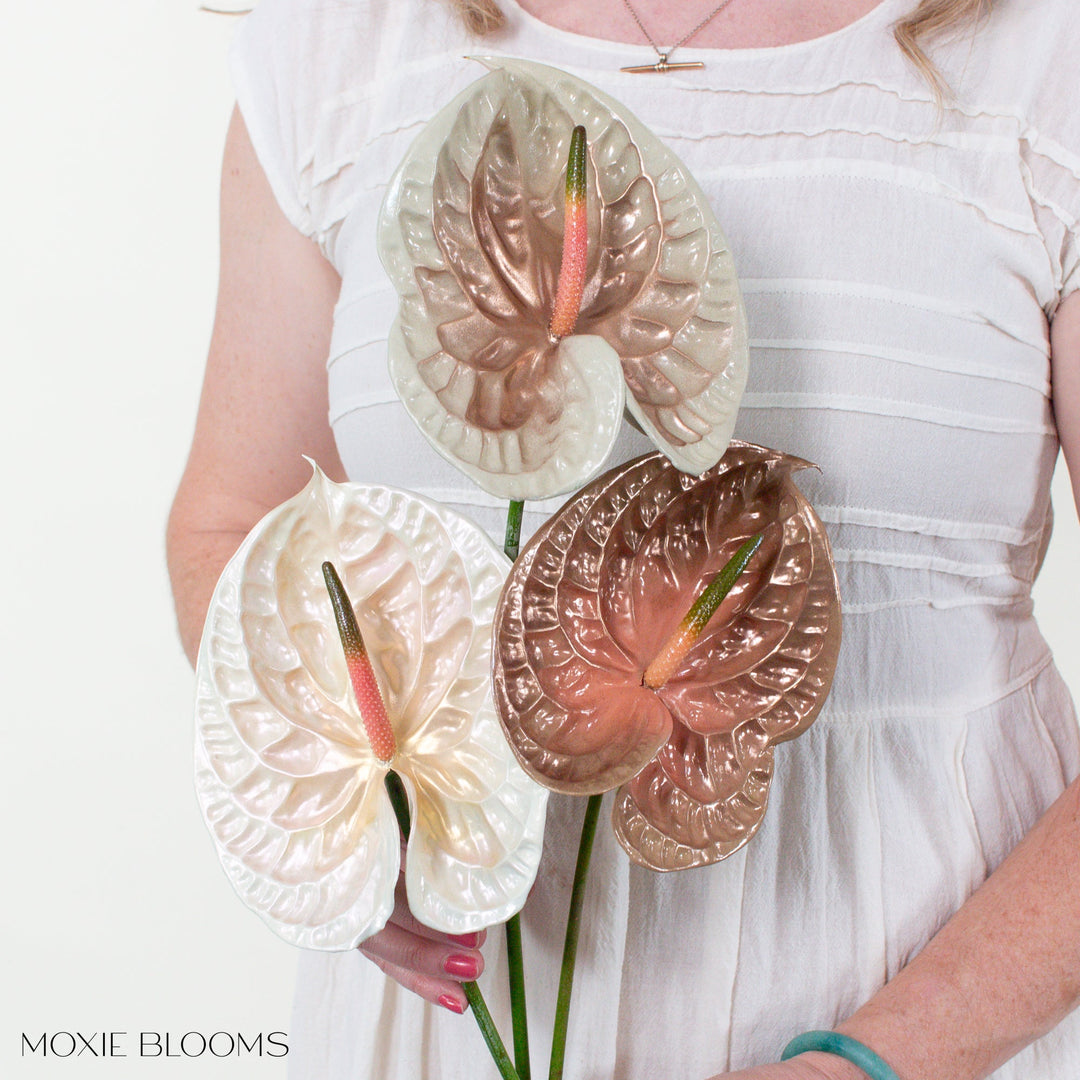 Nude Mood Iridescent Anthurium