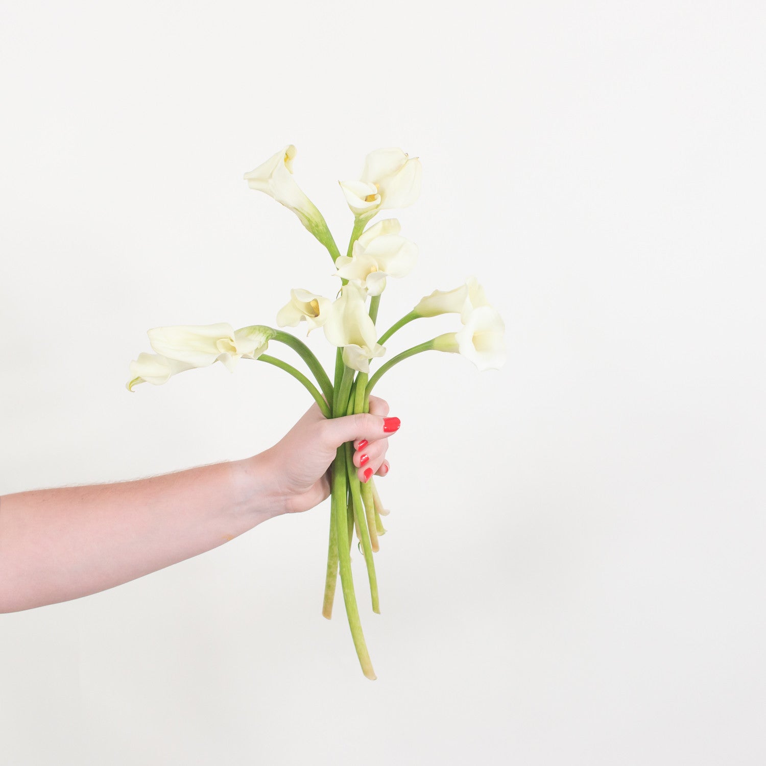 pictures of white calla lilies White Mini Calla Lily | Fresh DIY Wedding Flowers | Flower Moxie 120 Stems