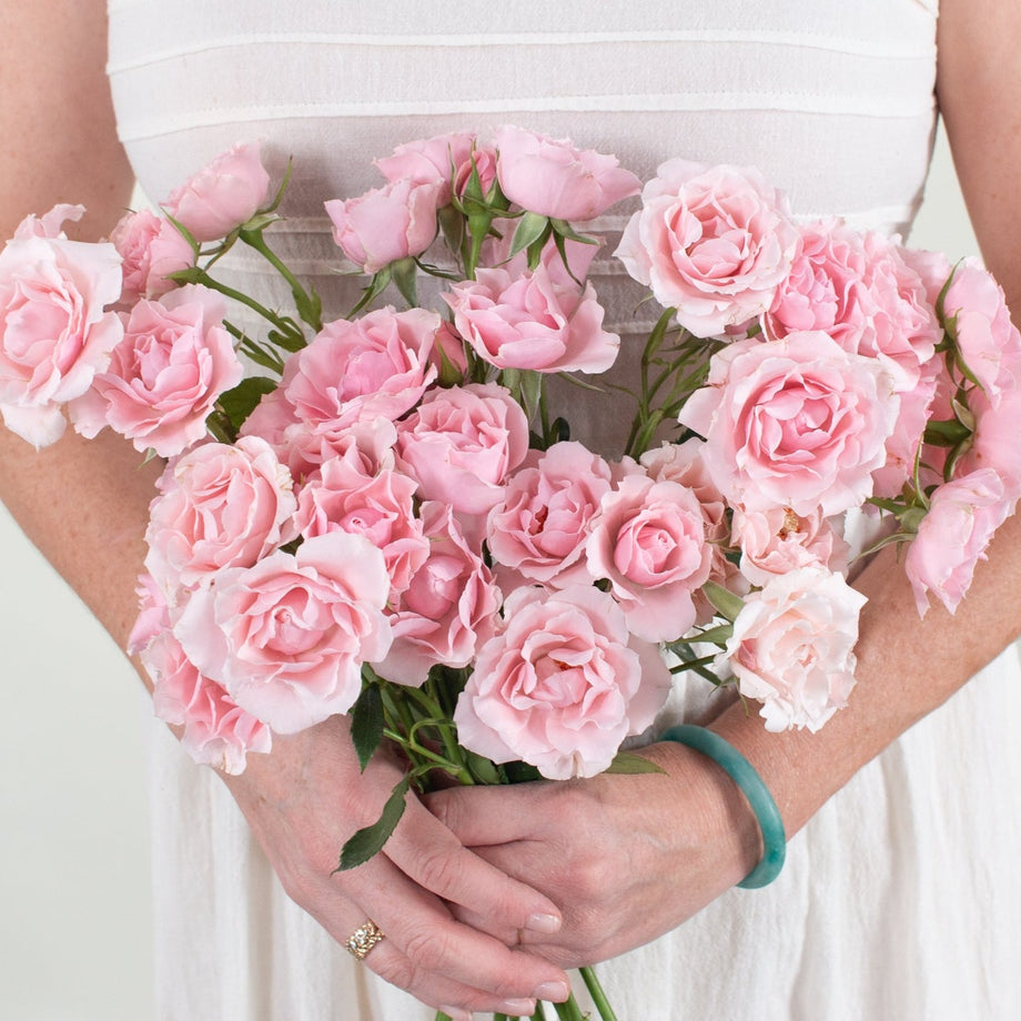 Spray Roses | Bulk Fresh Spray Roses Online – Flower Moxie