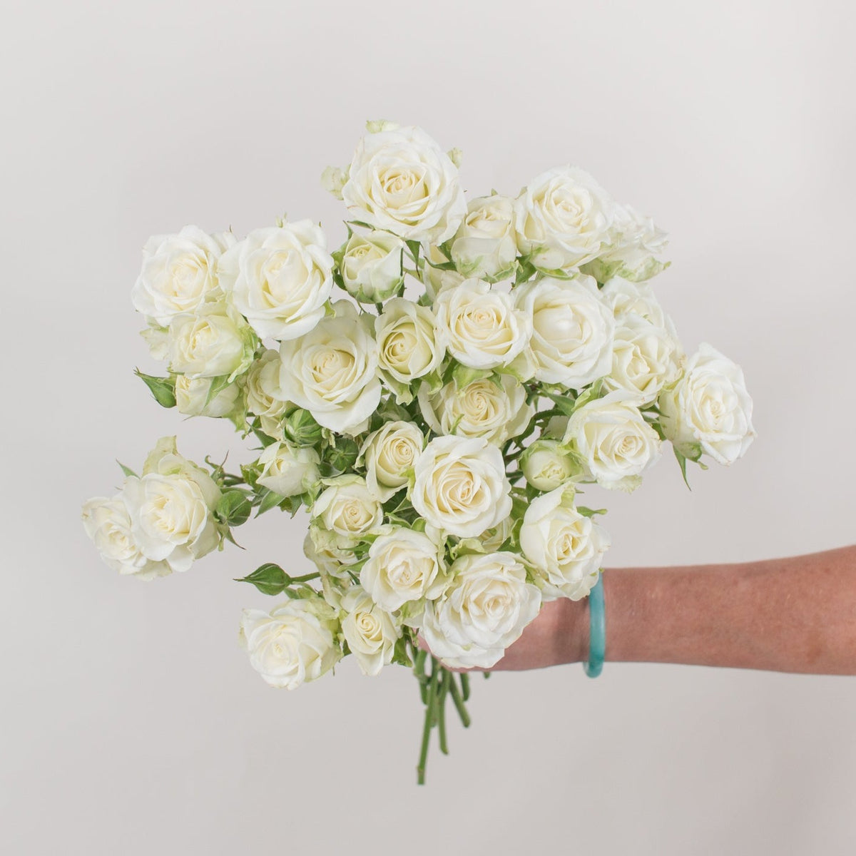 Spray Paper Roses Spray Roses | Bulk Fresh Spray Roses Online – Flower Moxie