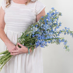 light blue delphinium bouquet