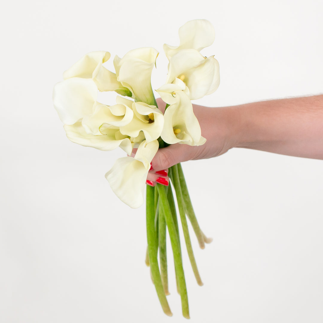 White Mini Calla Lily | Fresh DIY Wedding Flowers | Flower Moxie 120 Stems