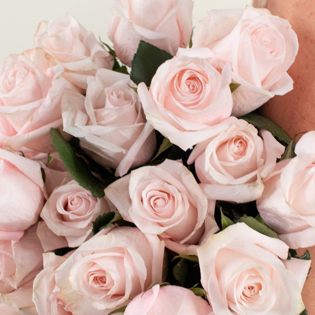 Blush Poma Rosa Rose DIY Wedding Flowers Flower Moxie