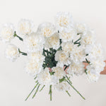 white carnation flower