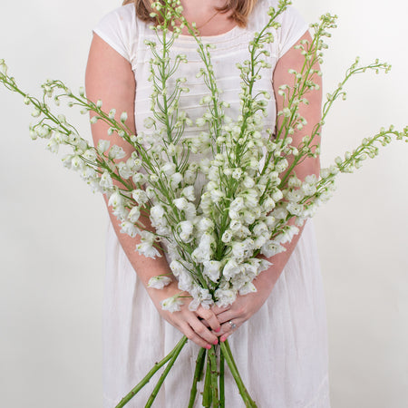 Moxie Spotlight: Melissa and Ethan – Flower Moxie