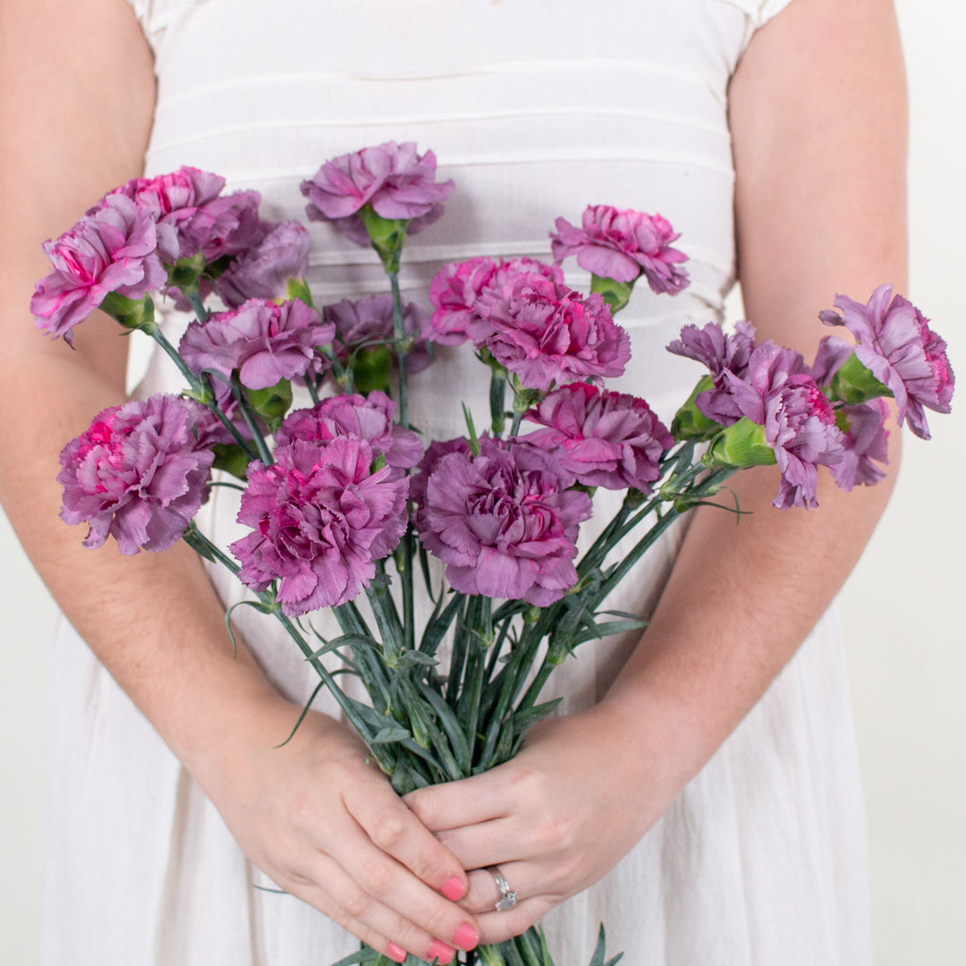 Lavender Hypnosis Carnations | DIY Wedding Flowers | Flower Moxie