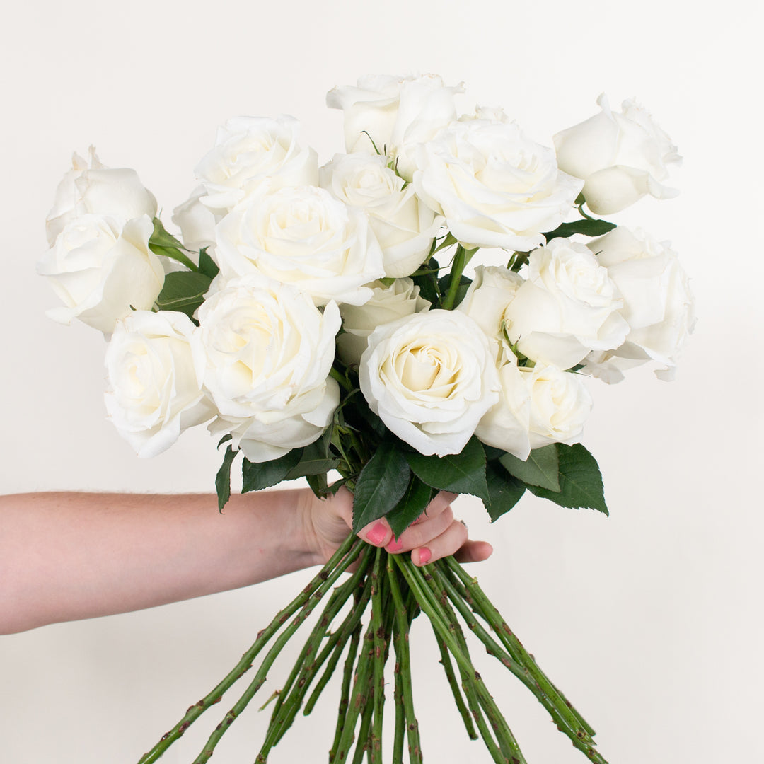 White Roses | Fresh DIY Wedding Flowers | Flower Moxie