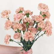 Terracotta Carnations | Bulk DIY Wedding Flowers | Flower Moxie