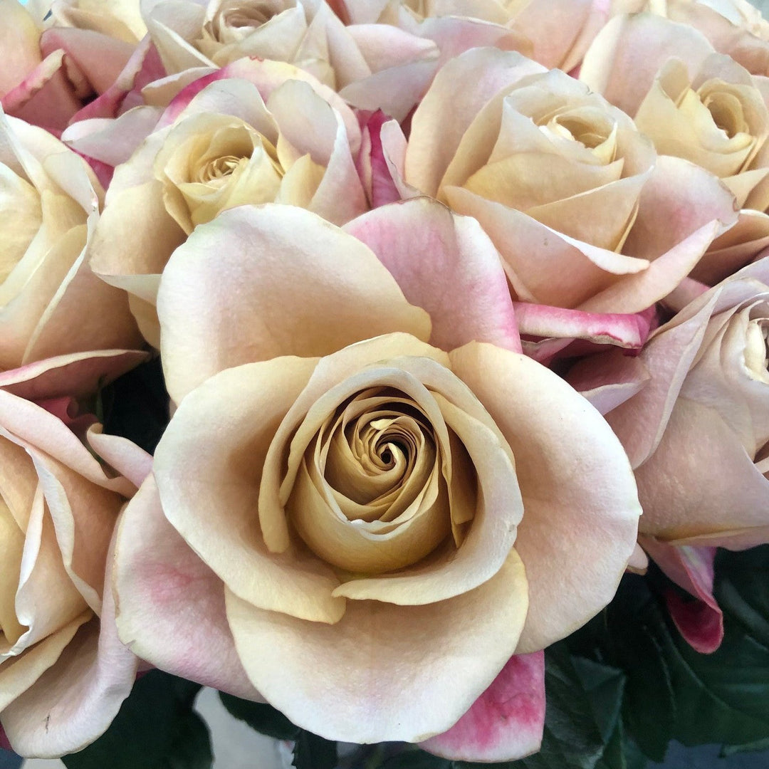 Golden Colored Roses Golden Symbol Roses | DIY Wedding Flowers | Flower Moxie