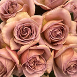 Cafe Latte Muave Wedding Garden Roses