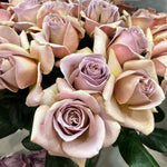 Cafe Latte Muave Wedding Garden Roses