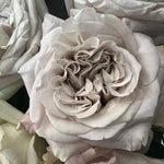 Grey Wedding Garden Roses Westminster Abbey