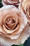 Dusty Terracotta Moab Roses | DIY Wedding Flowers | Flower Moxie
