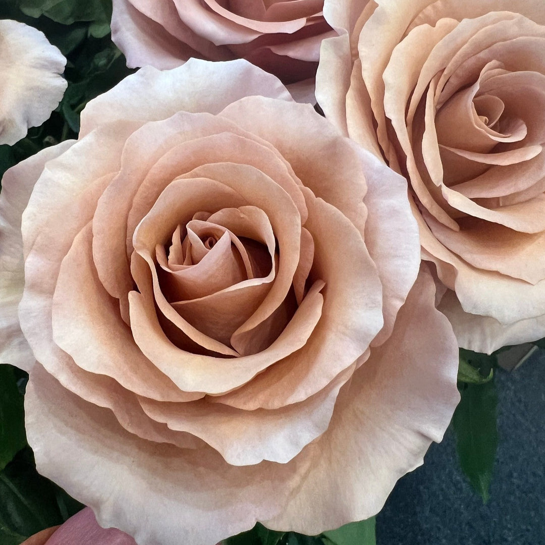 Dusty Terracotta Moab Roses | DIY Wedding Flowers | Flower Moxie