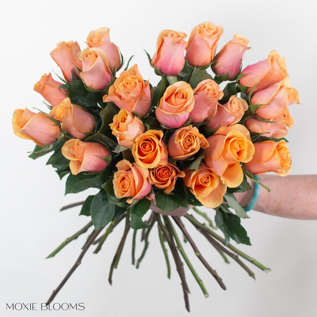 Peach Serenade Roses – Flower Moxie, image size:1080x1080