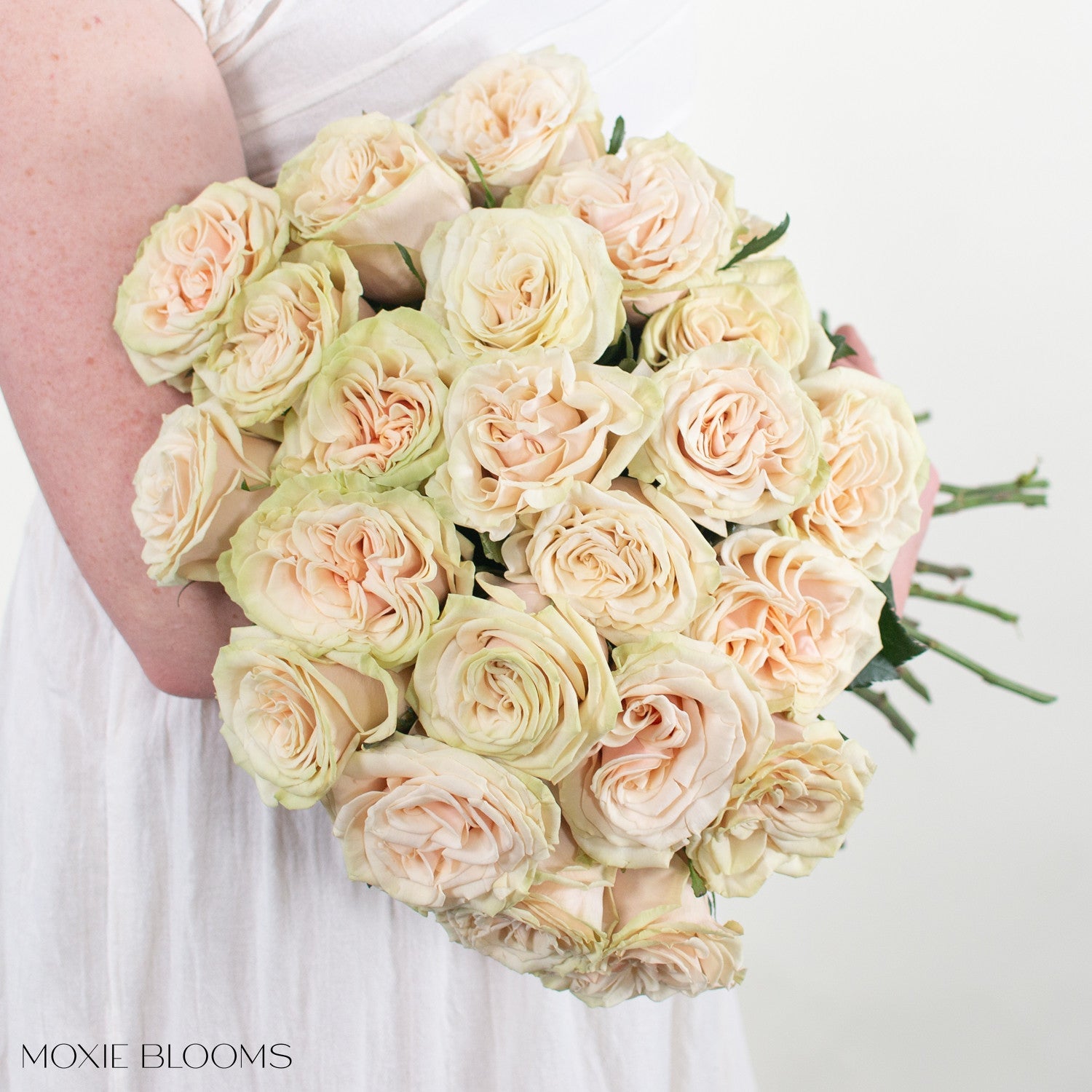 ファンデーション Rose Solar Infusion Soft-Focus Cream Bronzer | Non-Comedogenic Makeup