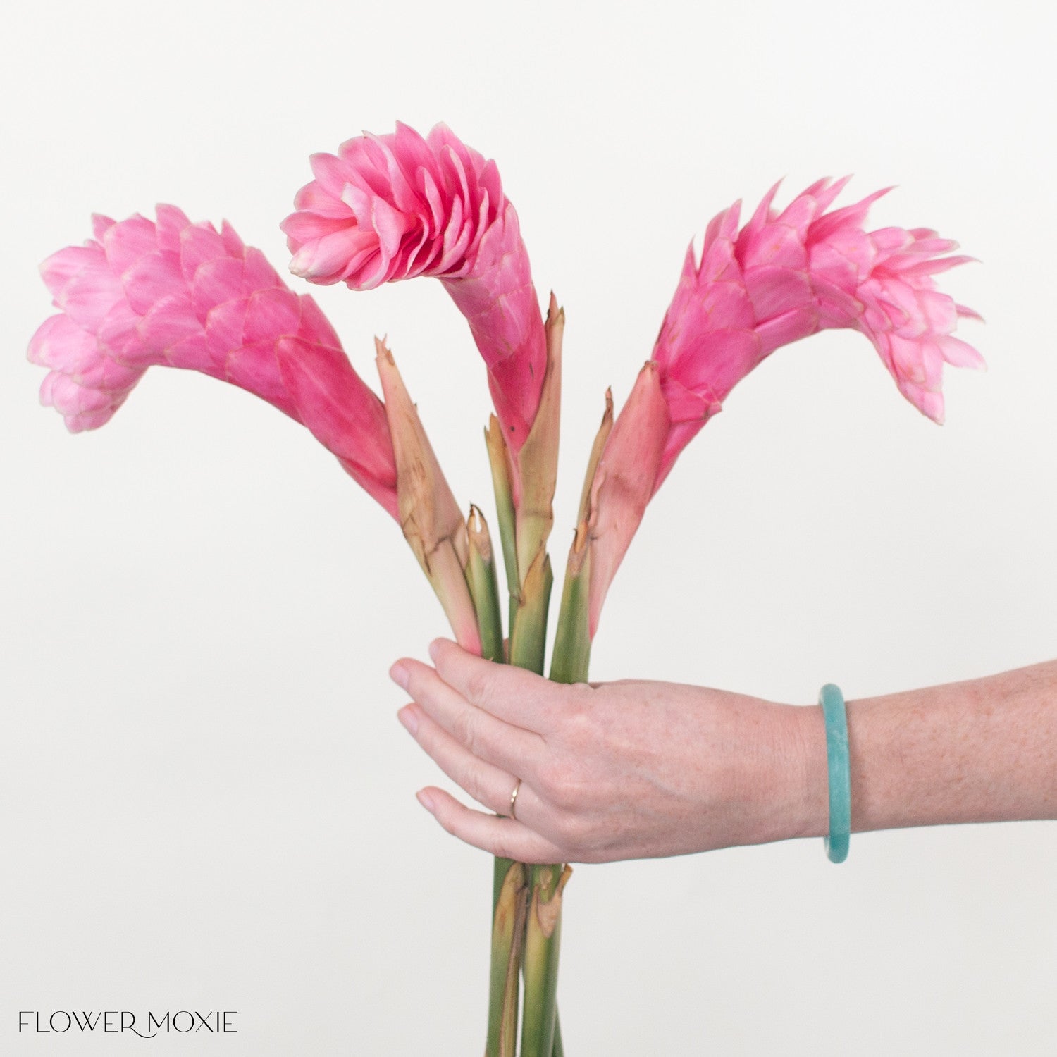 Bulk Pink Ginger Tropical Flowers