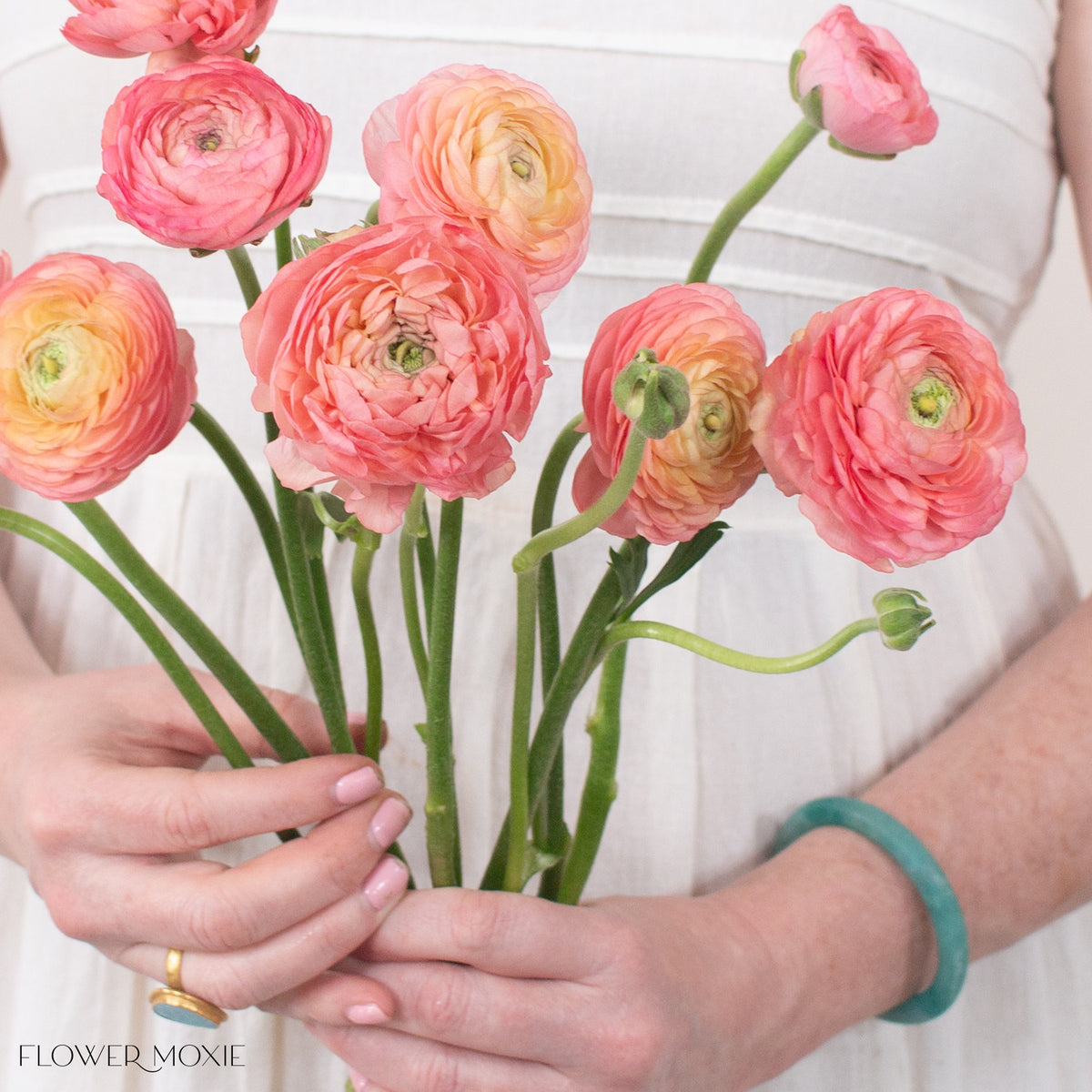 Peach Raunculus Peach Ranunculus | Bulk Fresh DIY Wedding Flowers | Flower Moxie