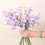 Hand holding a bouquet of purple flowers against a beige background