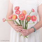 Peach Ranunculus Flowers