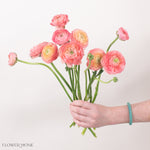 Peach Ranunculus Flowers