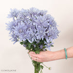 Bouquet of light blue flowers held by a person against a plain background, with 'Flower Moxie' branding.