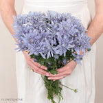 Bouquet of light blue flowers held by a person against a neutral background