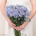 Bouquet of blue flowers held by a person wearing a white dress.