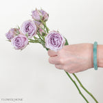 lavender spray roses