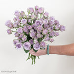 lavender spray roses