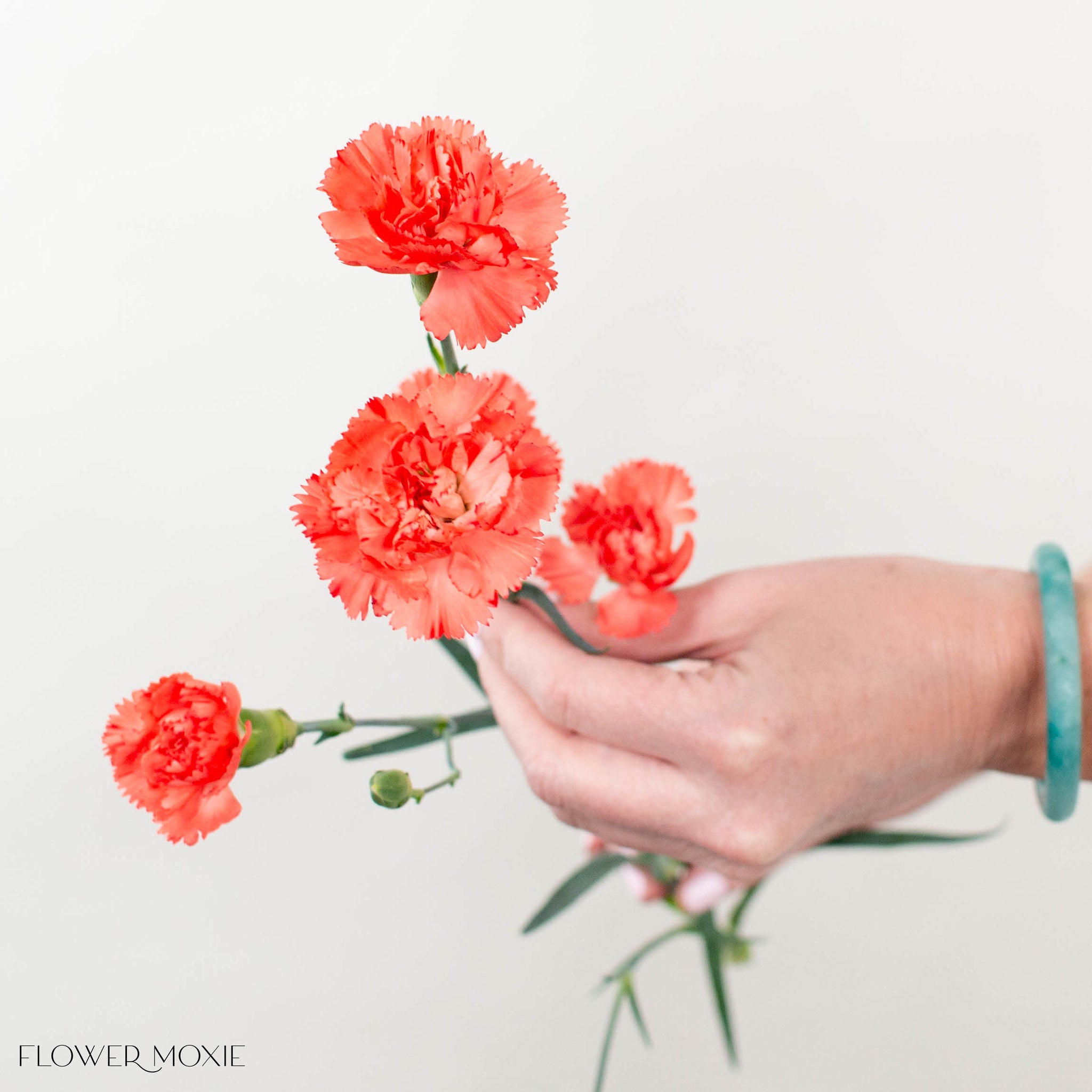 Stem of Bright Orange Mini Carnation