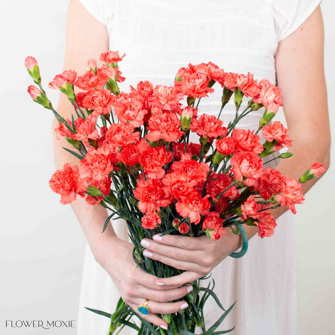 Orange Mini Carnation Flower | DIY Wedding Flowers | Flower Moxie 120 Stems