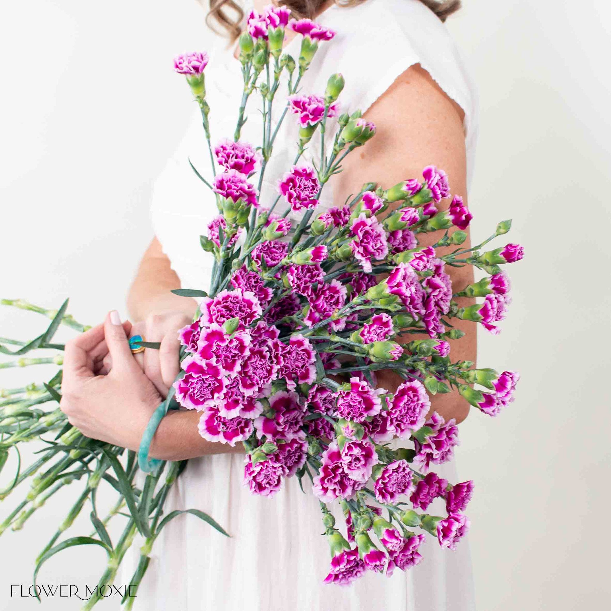 Bunch of Magenta Bicolor Mini Carnation