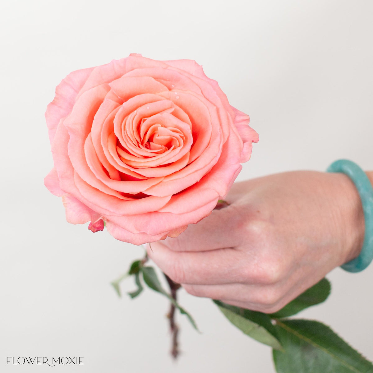 Coral Movie Star Roses | Fresh DIY Wedding Flowers | Flower Moxie
