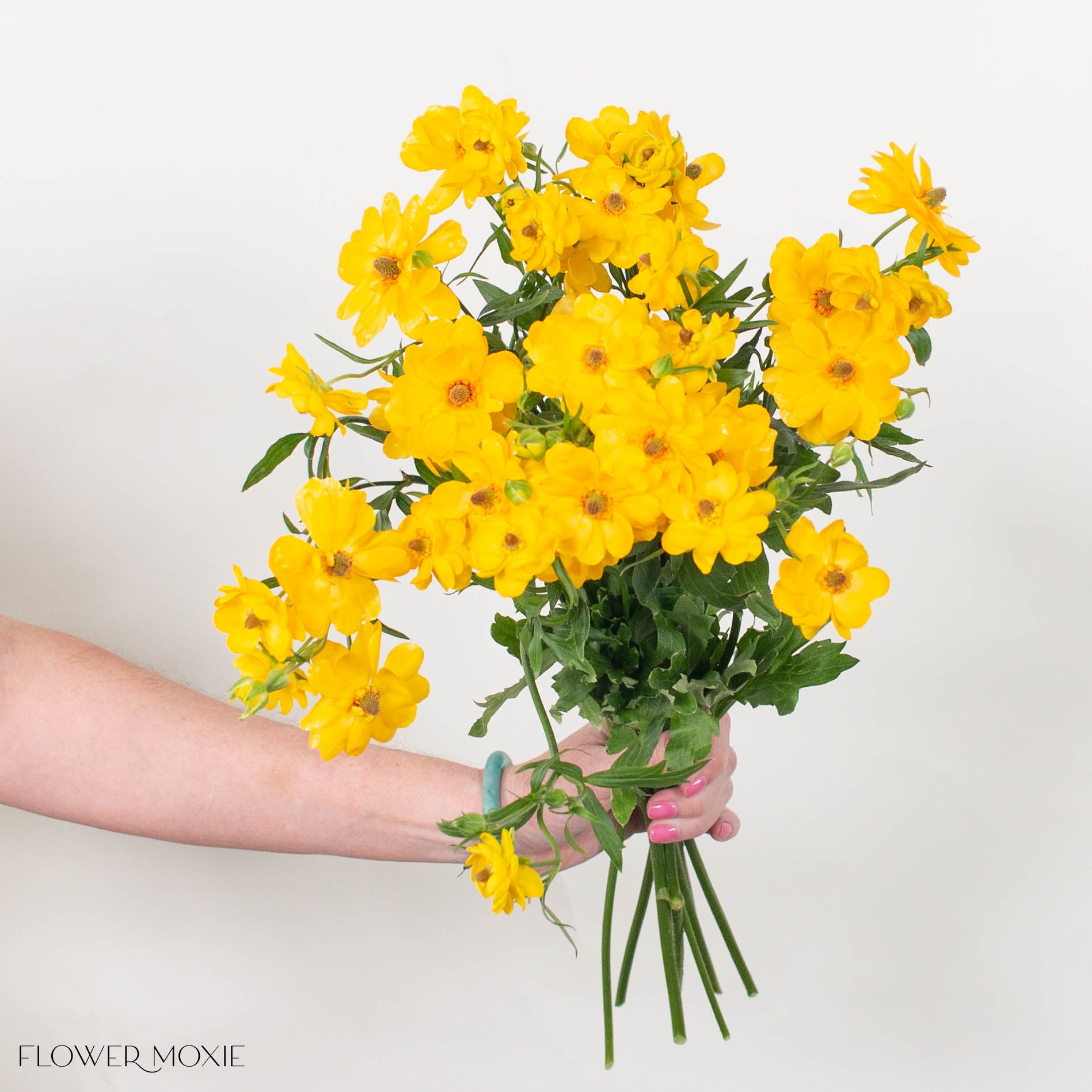 Golden Yellow Butterfly Ranunculus
