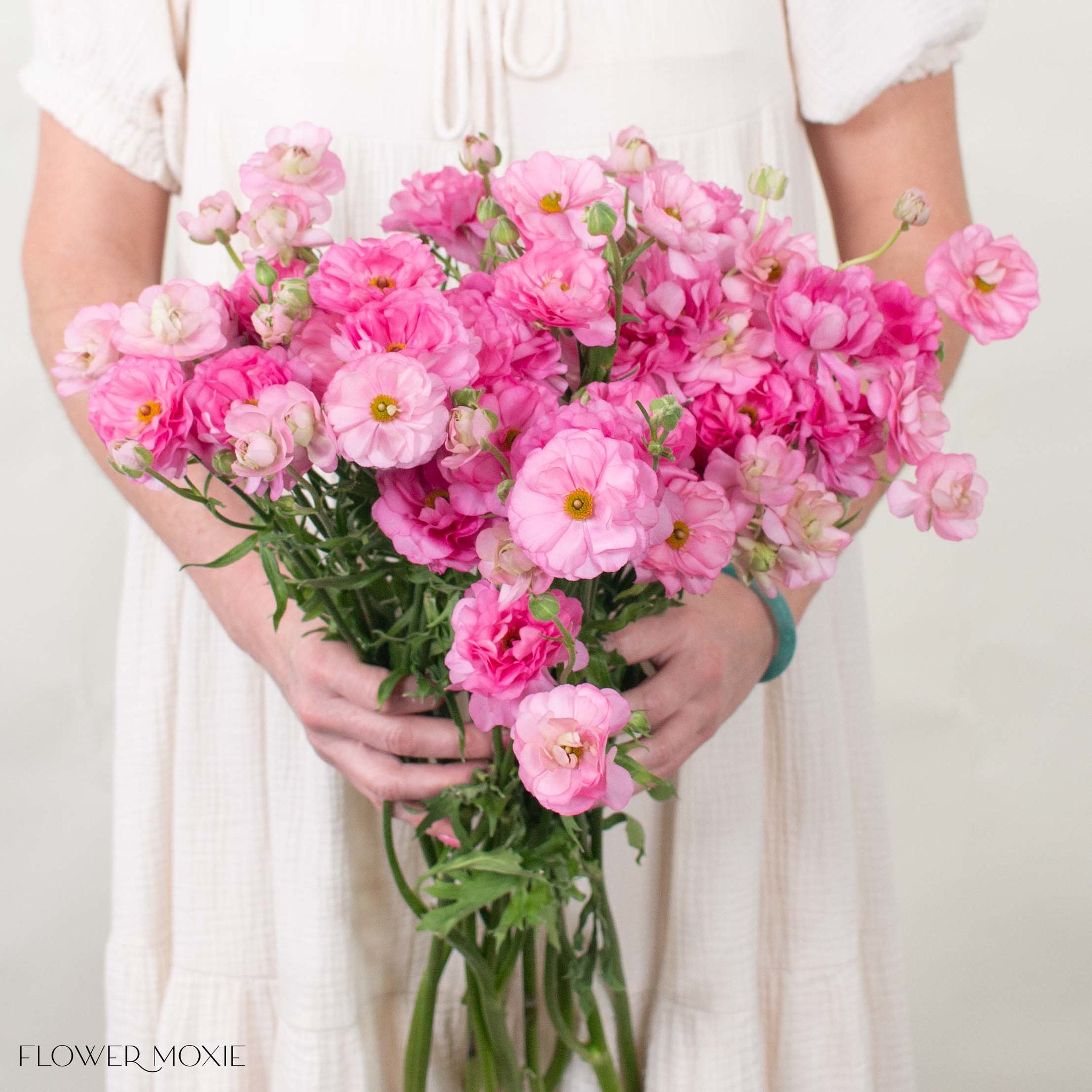 Medium Pink Butterfly Ranunculus