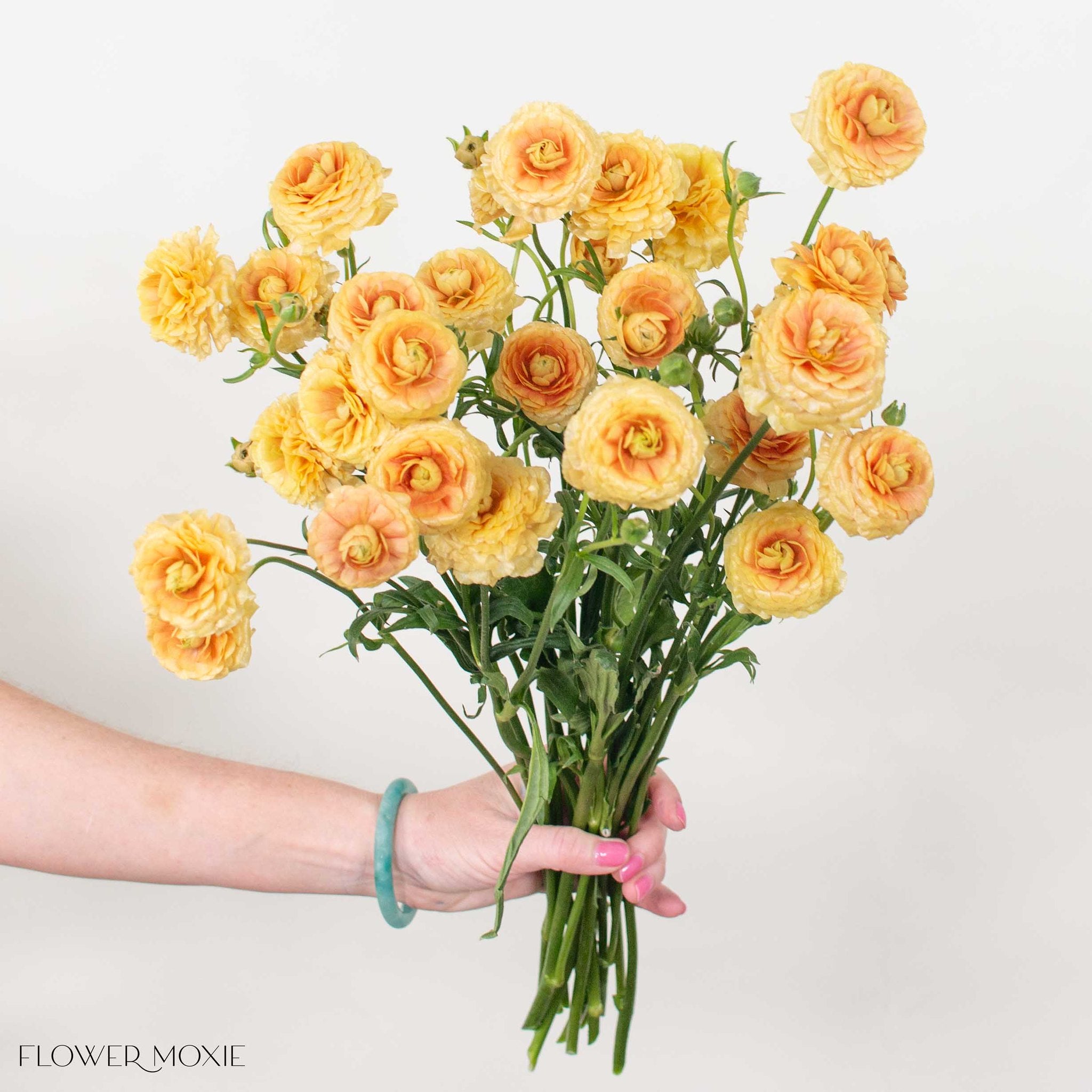 Apricot Butterfly Ranunculus
