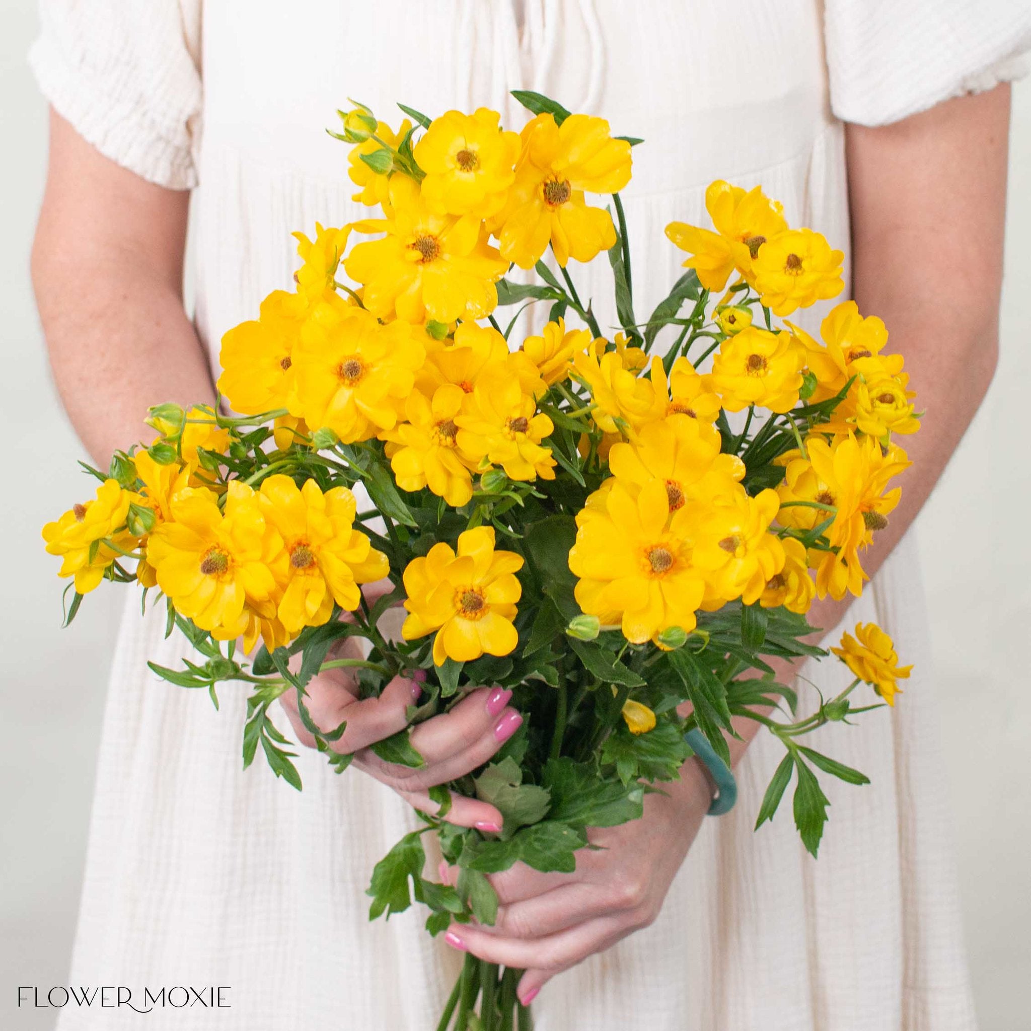 Golden Yellow Butterfly Ranunculus | Flower Moxie DIY Wedding Flowers