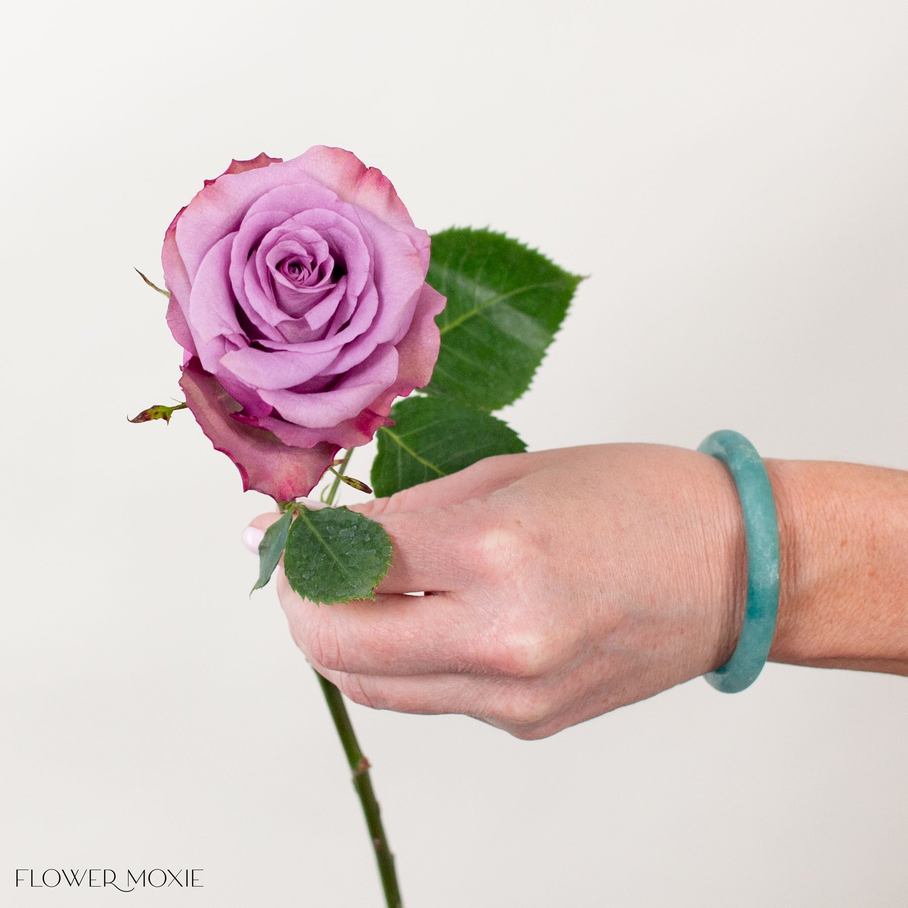 lavender govinda rose