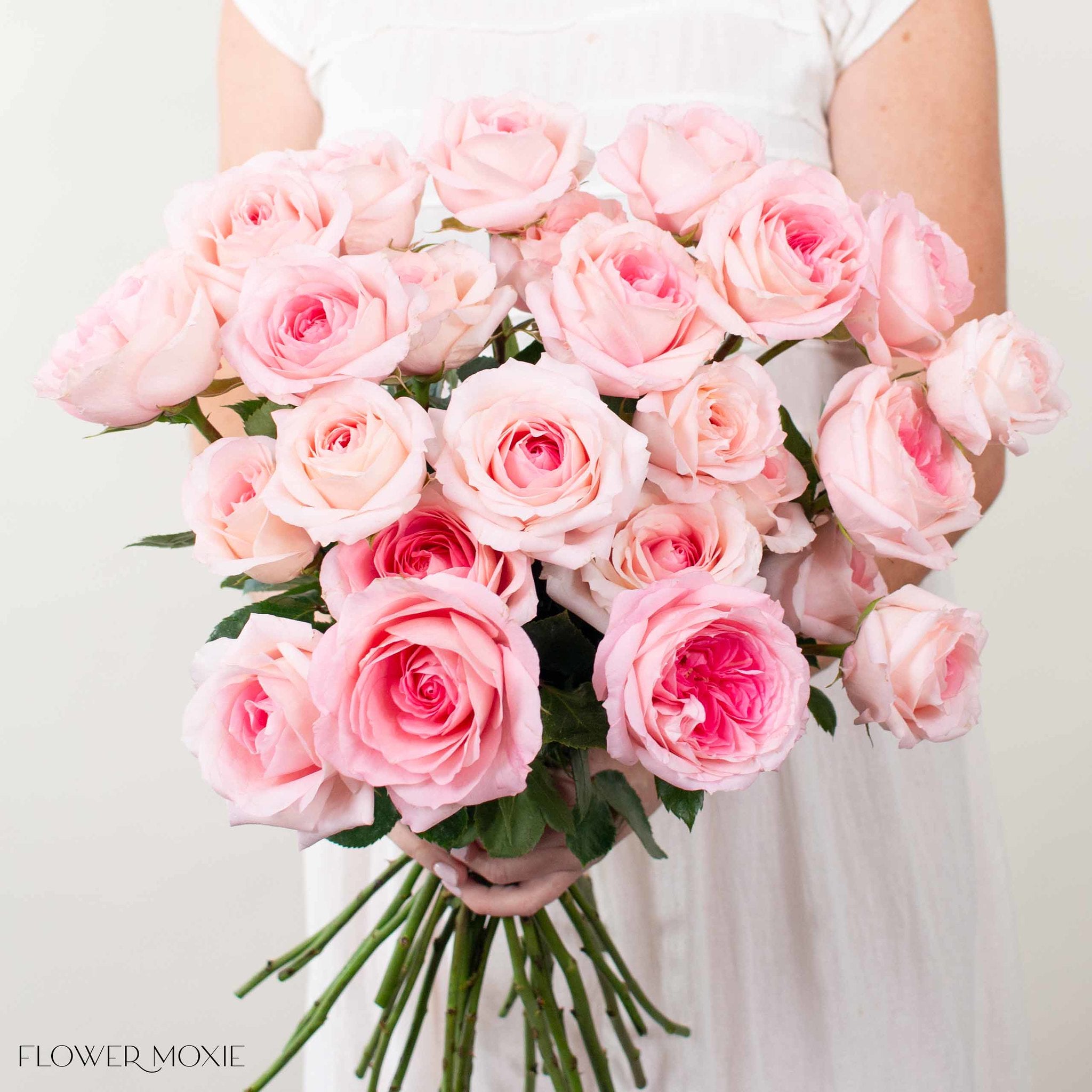 Bouquet of pink roses held by a person against a plain background