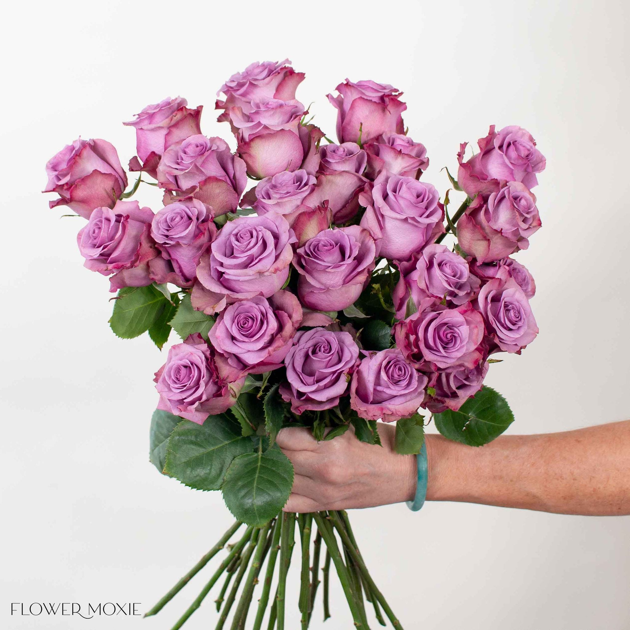 lavender govinda rose