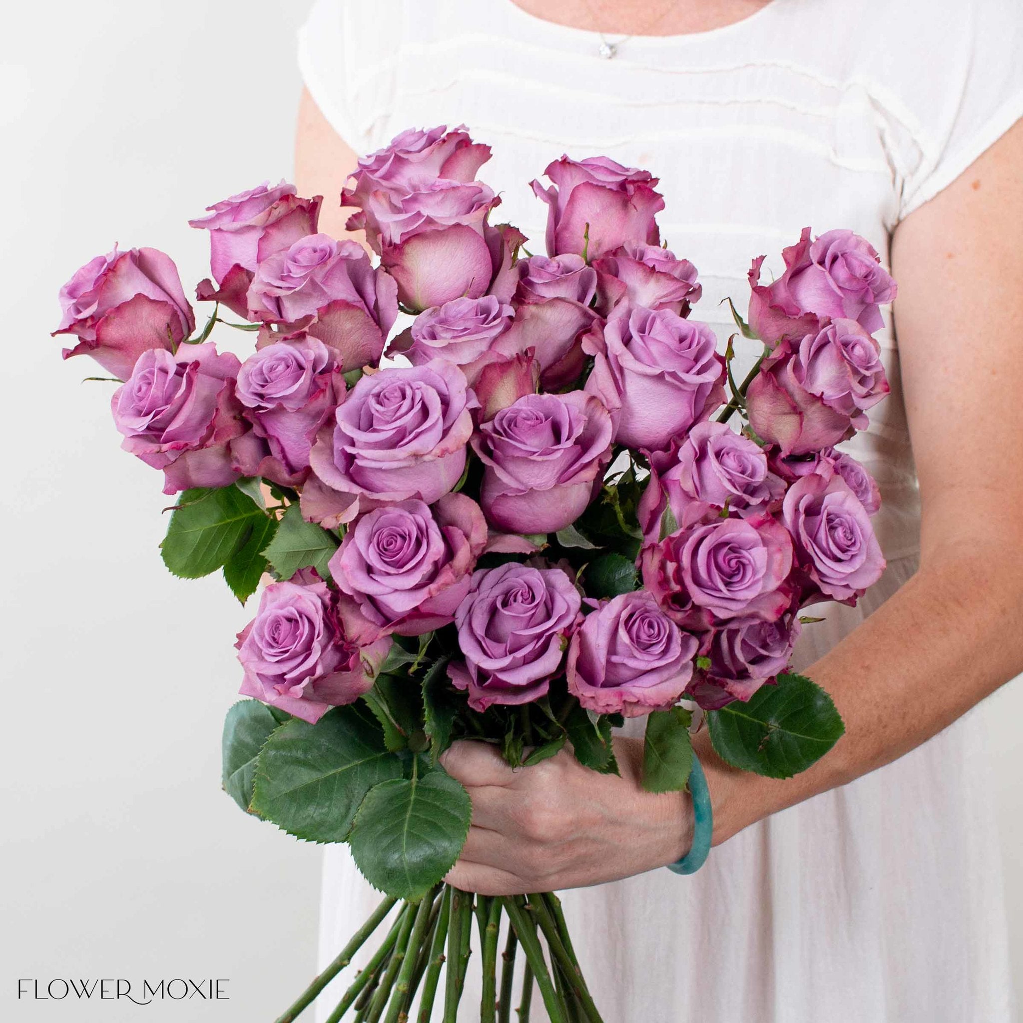 lavender govinda rose