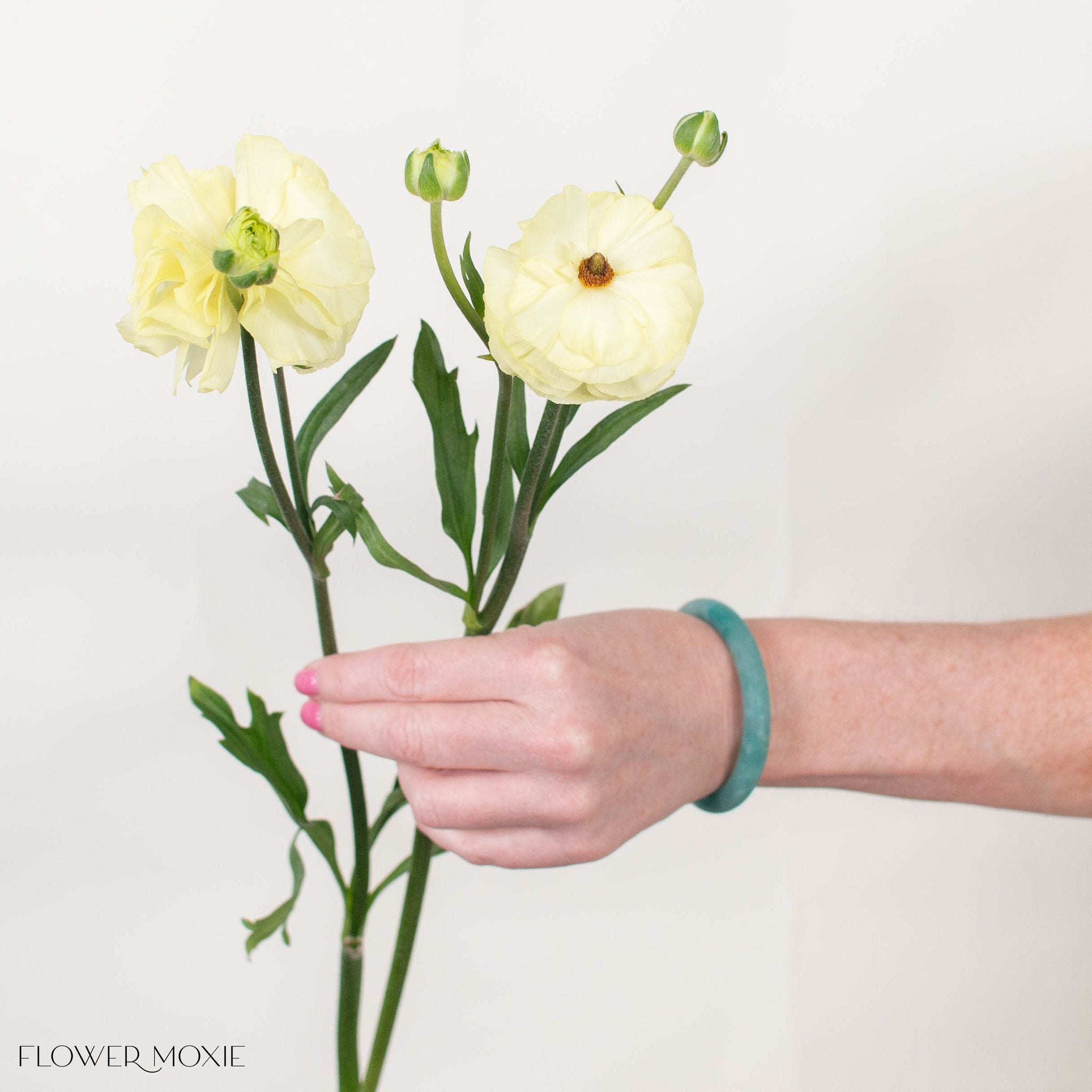 Limoncello Butterfly Ranunculus
