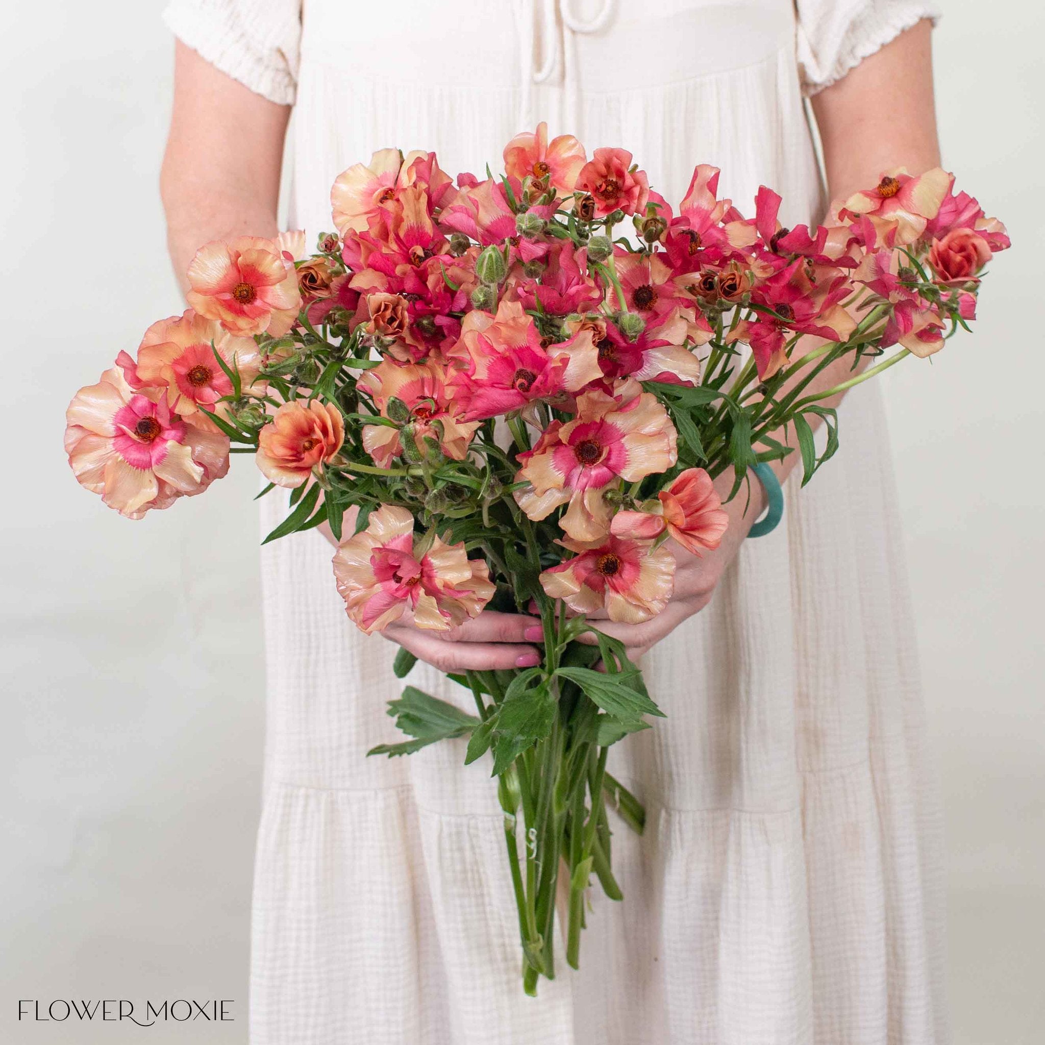 Peachy Pink Butterfly Ranunculus
